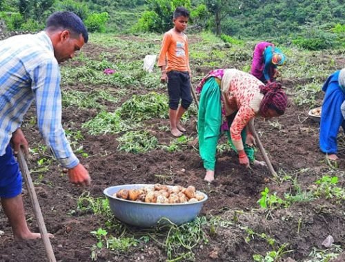 Helping Uttarakhand Farmers Scale New Heights