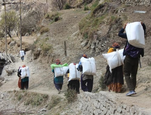 WhatsApp Image 2024-08-13 at 09.09.57_bbde6435